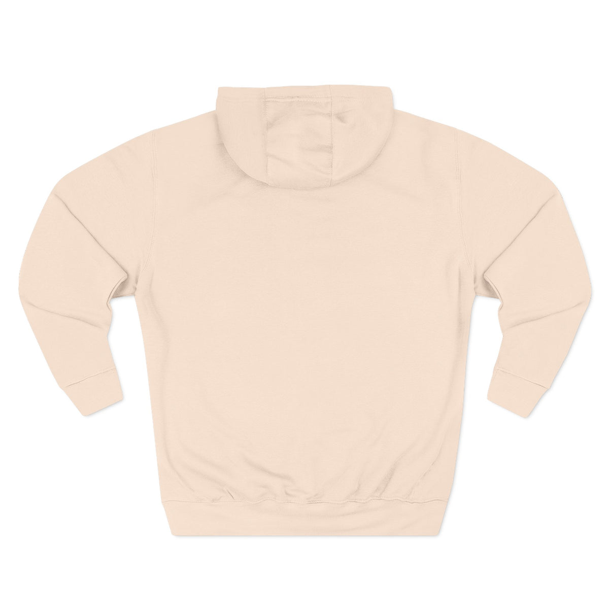 Established 2025 Hoodie