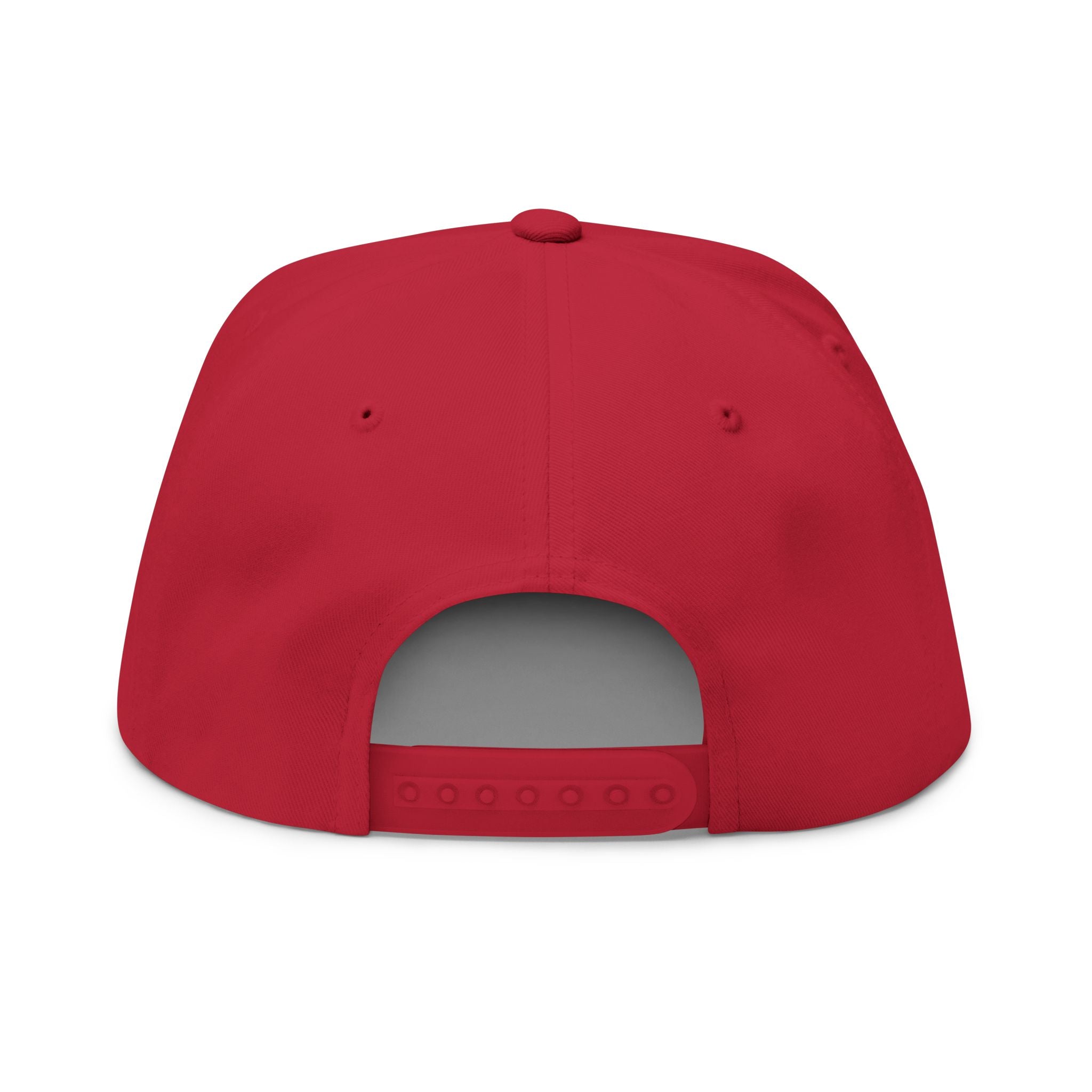 Drippy Flat Bill Snapback