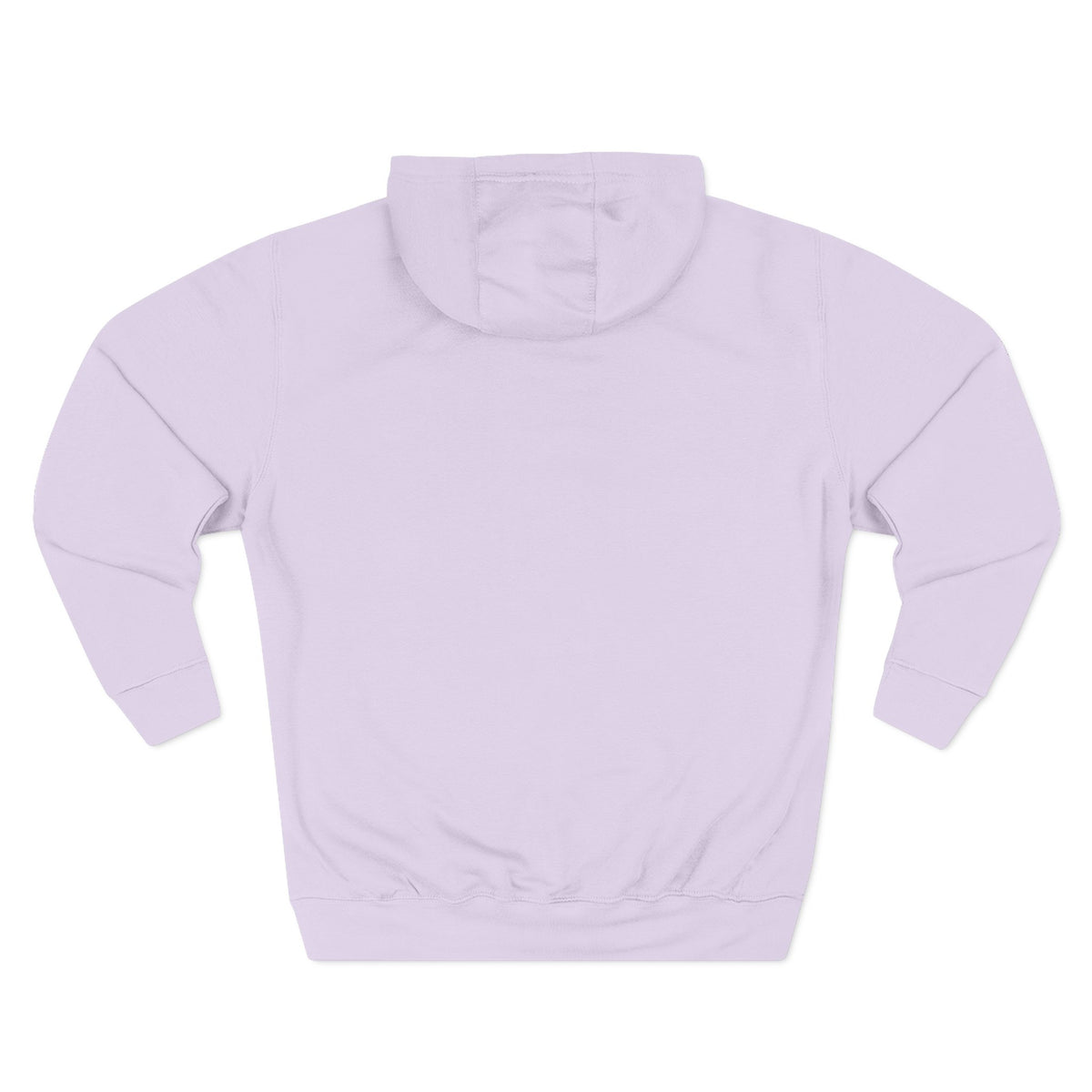Established 2025 Hoodie